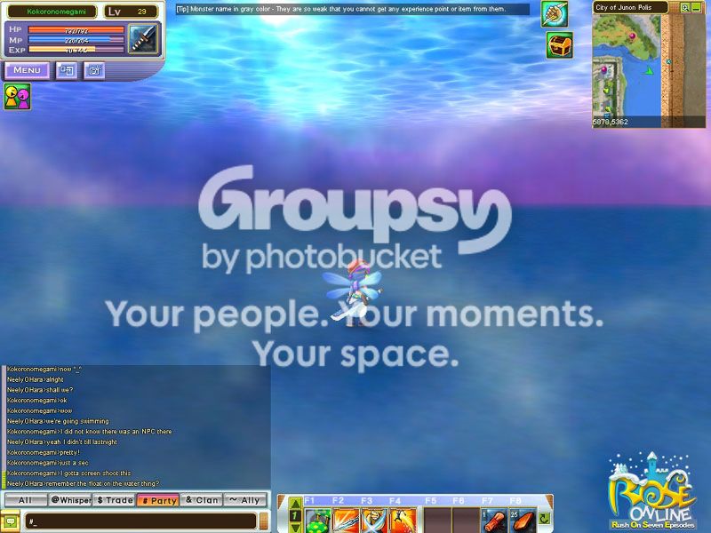 User Image